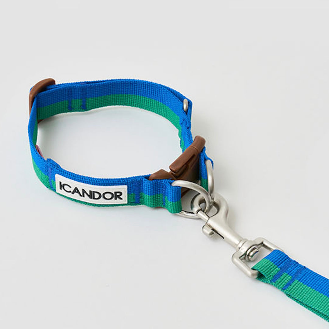 ※予約販売【iCANDOR】Gentle Collar Dual（FOREST）S/M