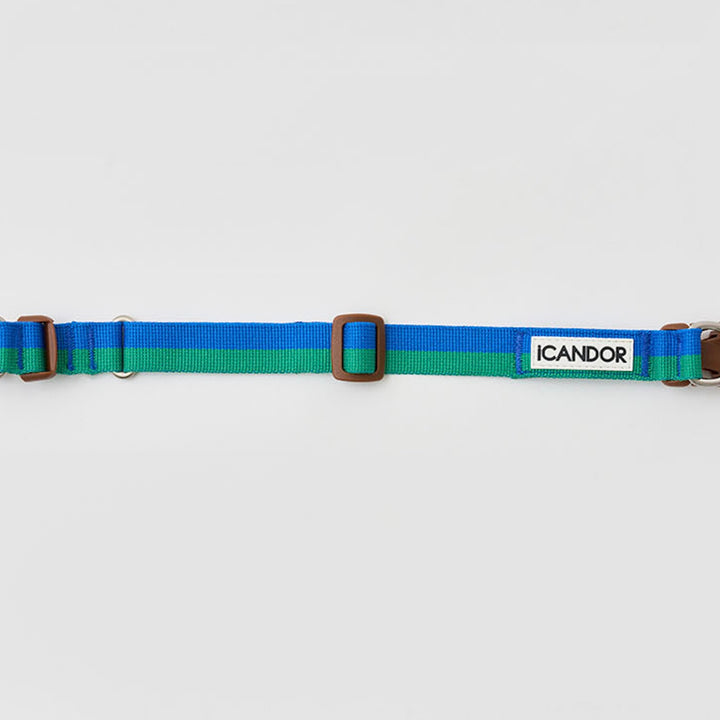 ※予約販売【iCANDOR】Gentle Collar Dual（FOREST）S/M