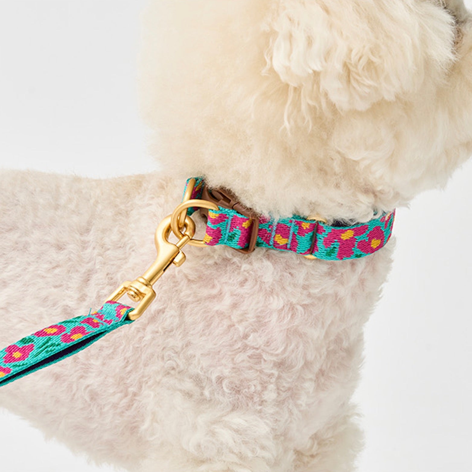 姫shop♡様専用♡わんこ服 【公式通販】