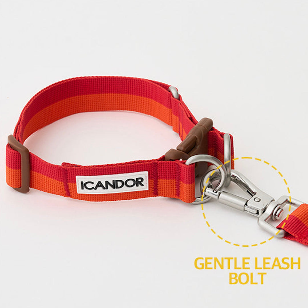 ※予約販売【iCANDOR】Gentle Collar Dual（SUNSET）S/M