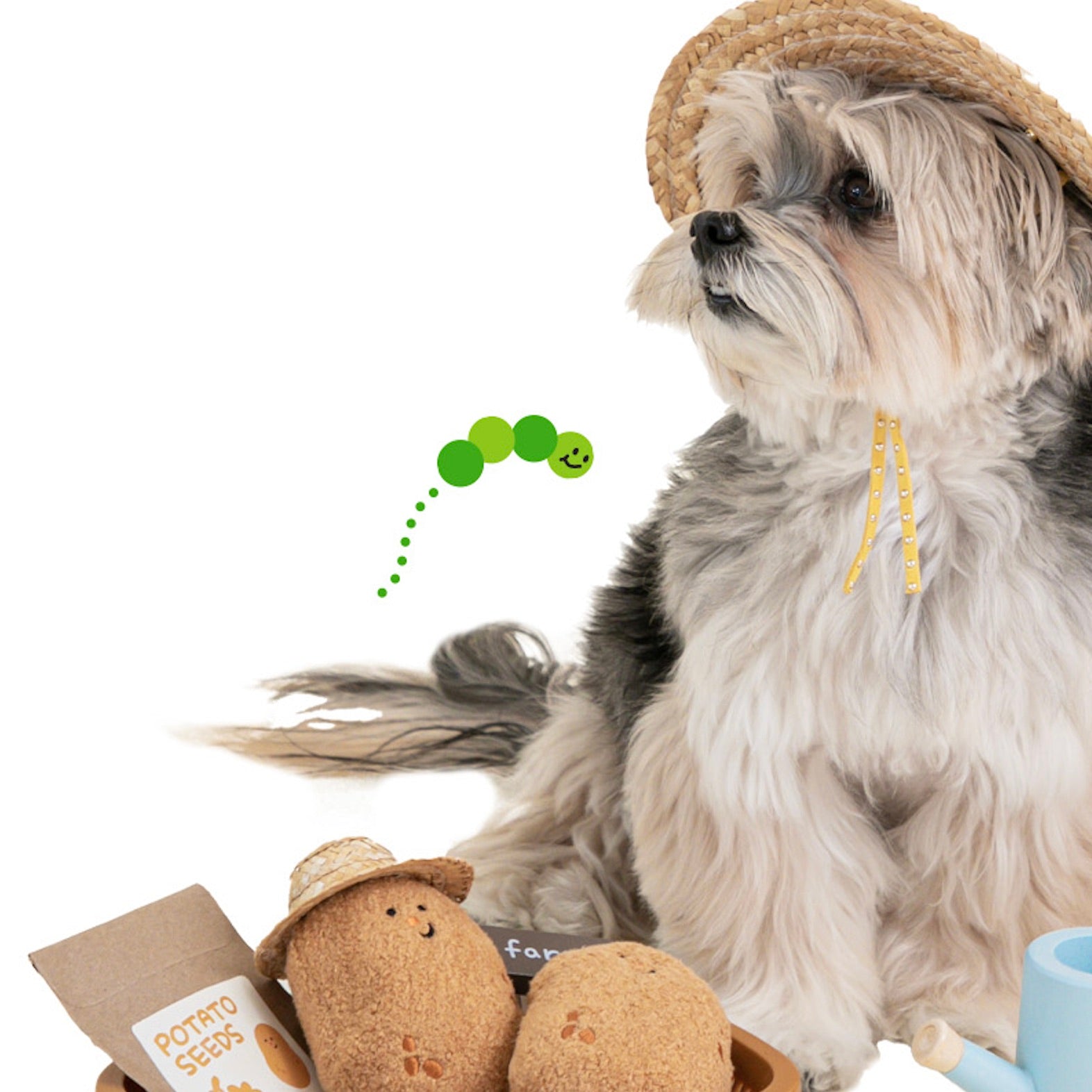 海外犬服 高品質なインポートのドッグウェア通販 