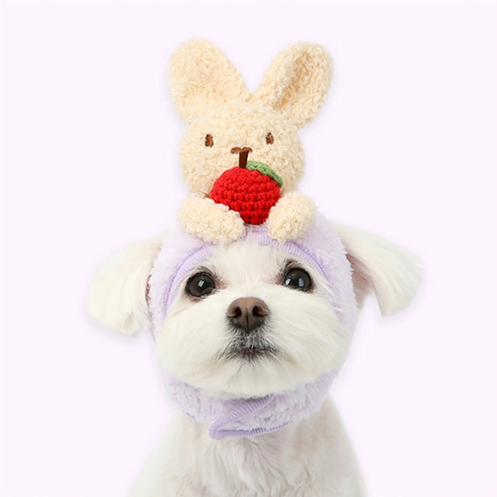 ※予約販売【ITS DOG】Apple knit Hat（Rabbit Yellow）