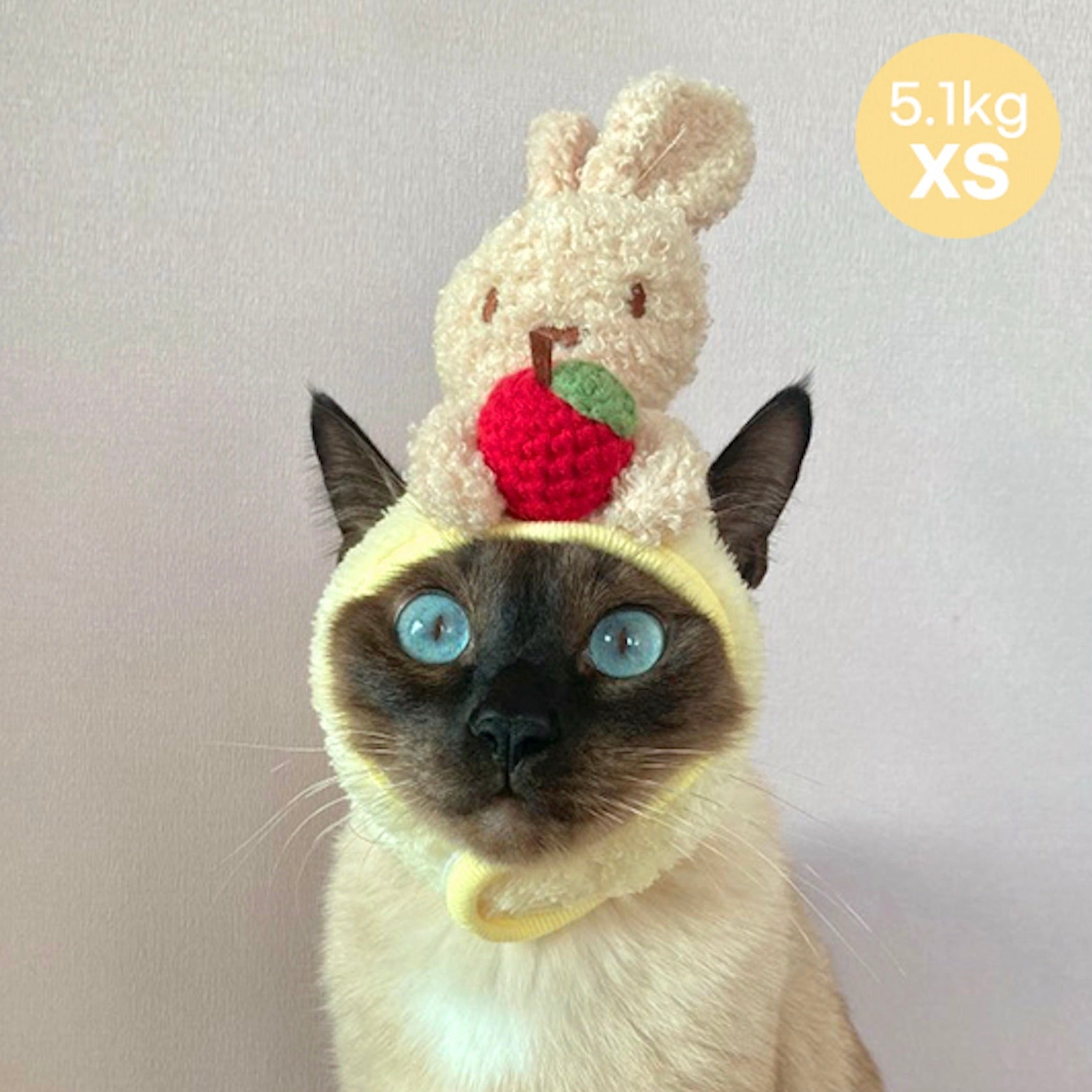 犬服・アクセサリー IT-DOGS Hand Knit 海外犬服 高品質なインポートのドッグウェア通販 