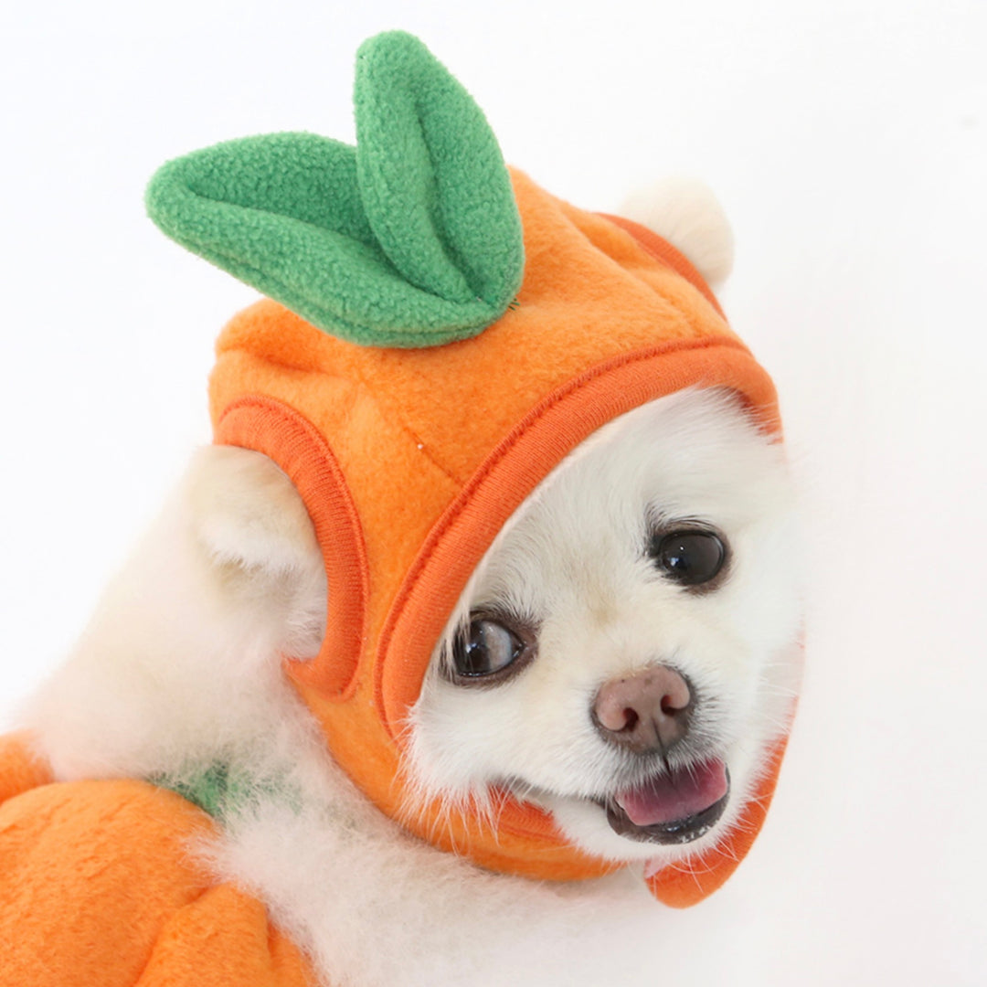 ※予約販売【ITS DOG】Sweet and Sour Tangerine Hat