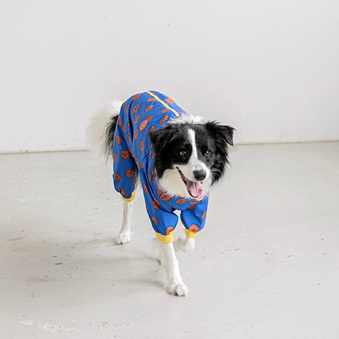※予約販売【BITE ME】All In One Rain Coat for Large dog （Poodle）