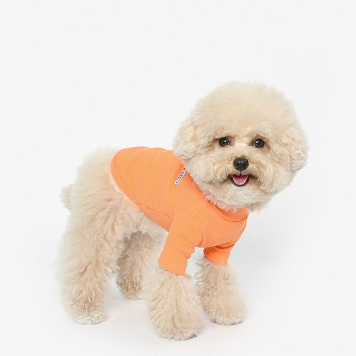 ※予約販売【TUSTUS】BASIC TURTLENECK TEE 15 COLOR（ORANGE）