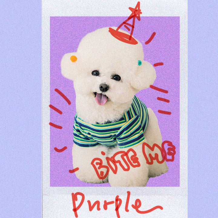 ※予約販売【BITE ME】Stranger stripe T-Shirt（Purple）
