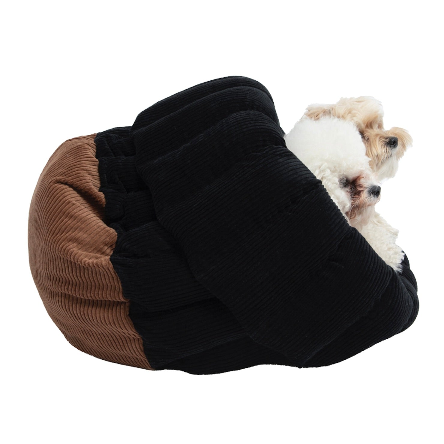 海外犬服 高品質なインポートのドッグウェア通販 