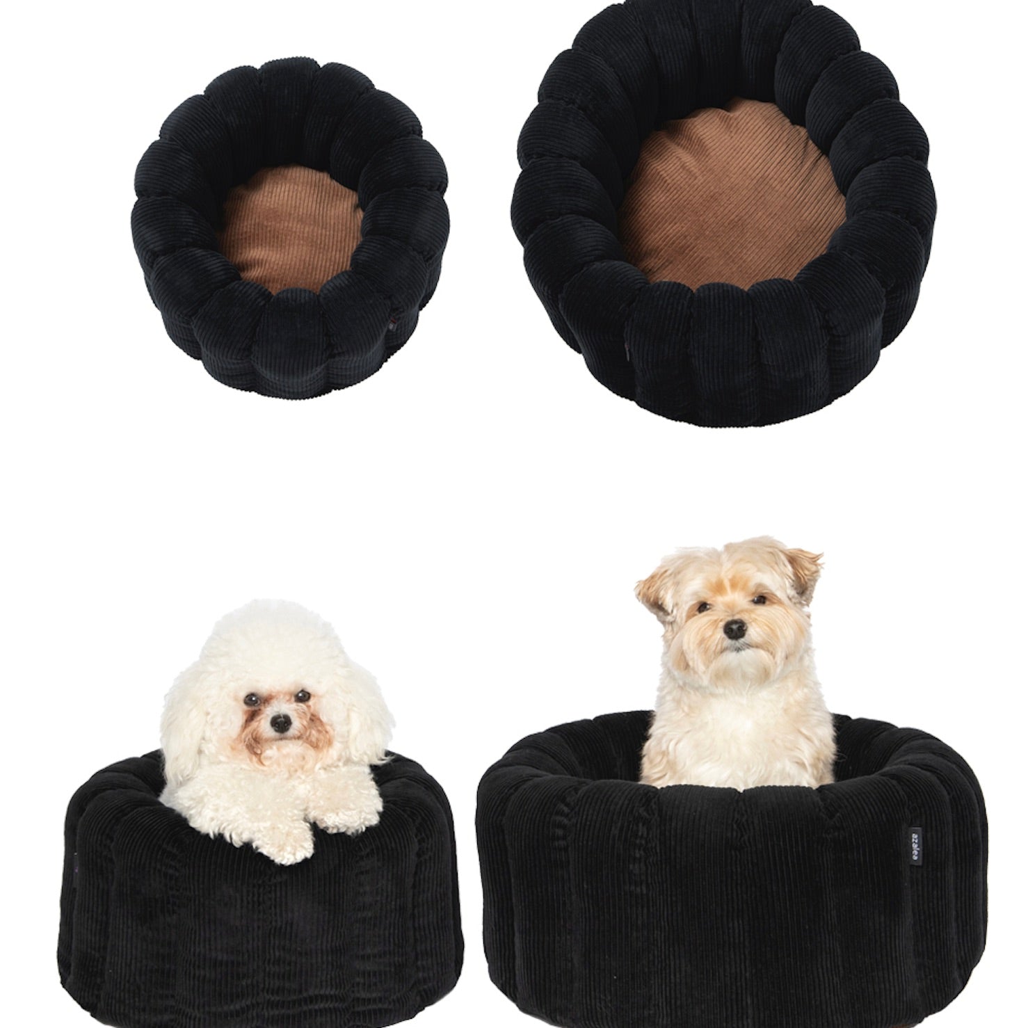 海外犬服 高品質なインポートのドッグウェア通販 