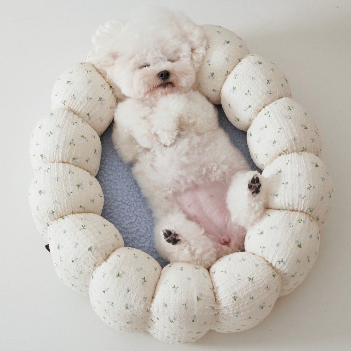 azalea azallea カヌレクッション　ベッド Lサイズ 海外犬服 高品質なインポートのドッグウェア通販 