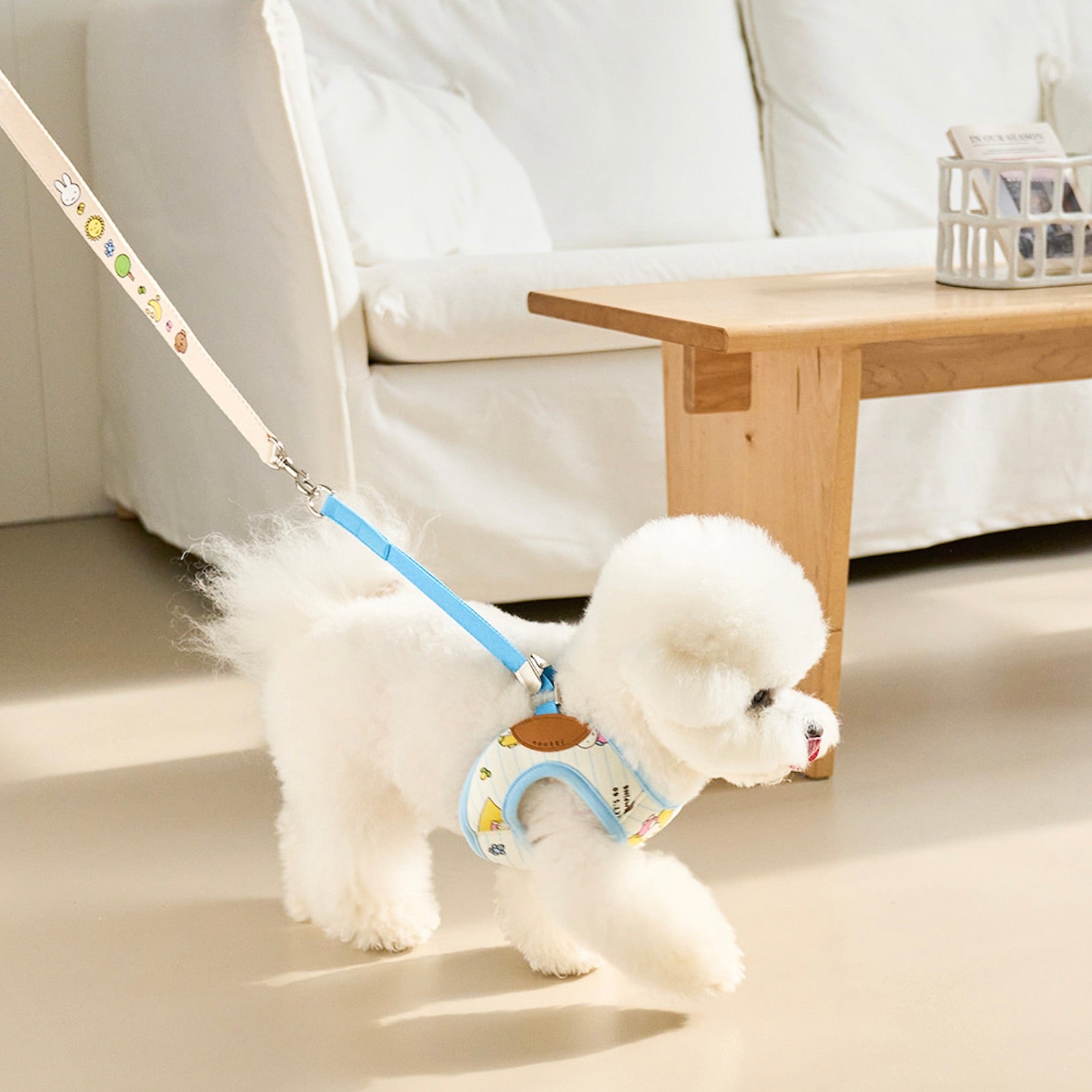 海外犬服 高品質なインポートのドッグウェア通販 