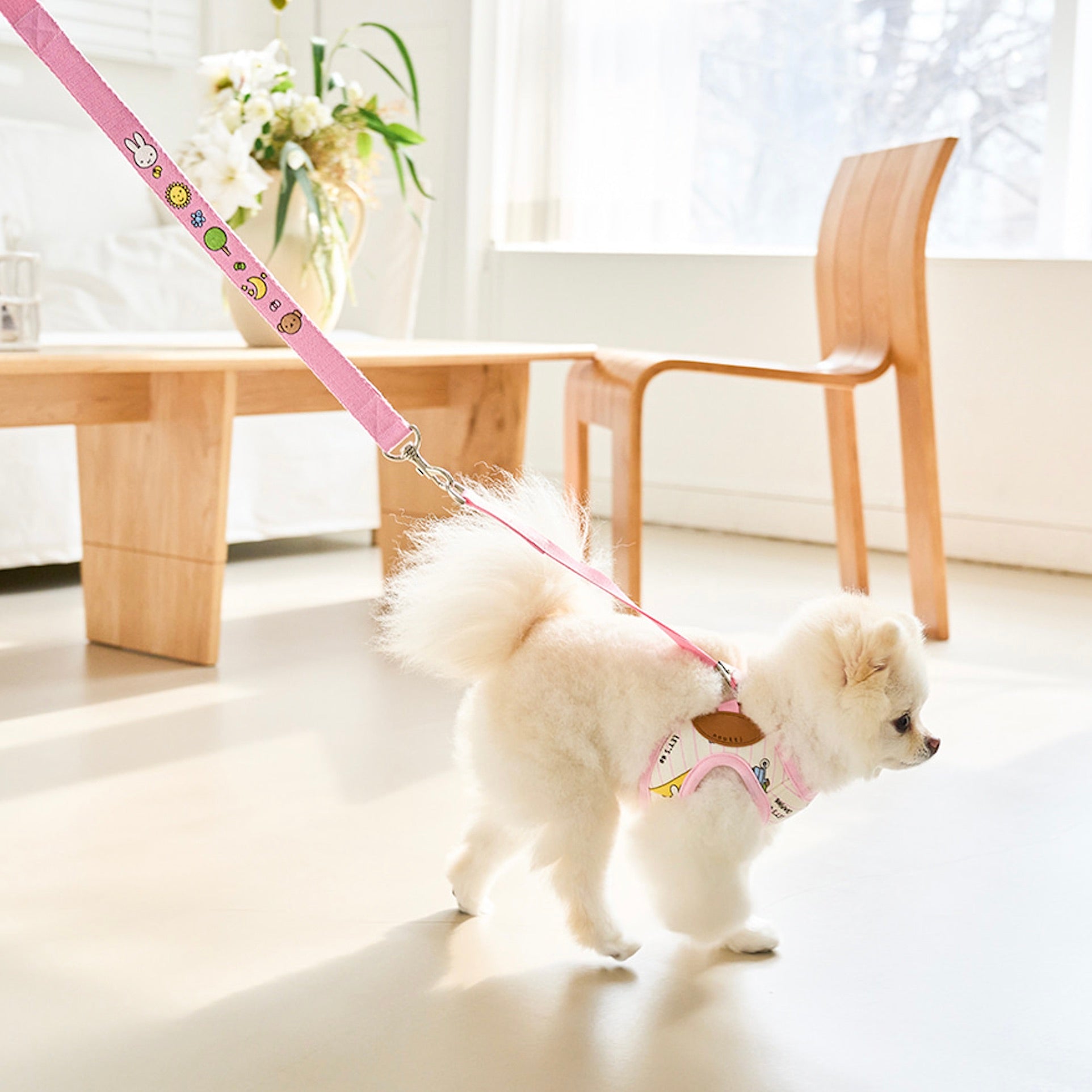 海外犬服 高品質なインポートのドッグウェア通販 