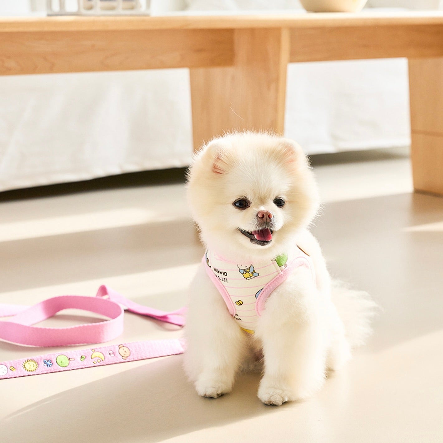 海外犬服 高品質なインポートのドッグウェア通販 