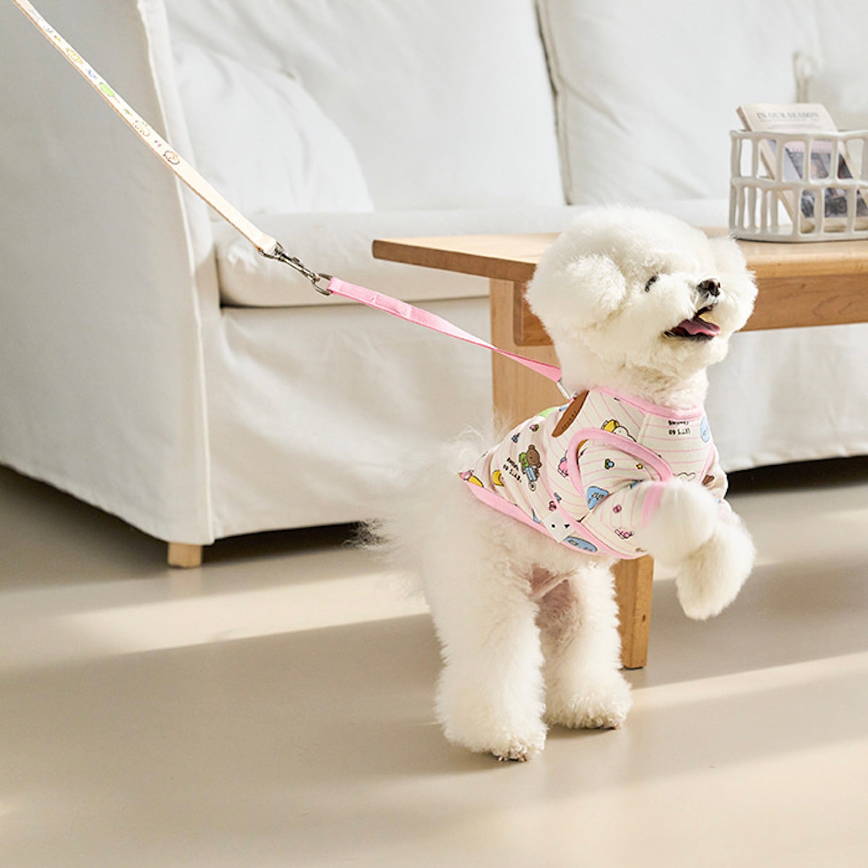 海外犬服 高品質なインポートのドッグウェア通販 