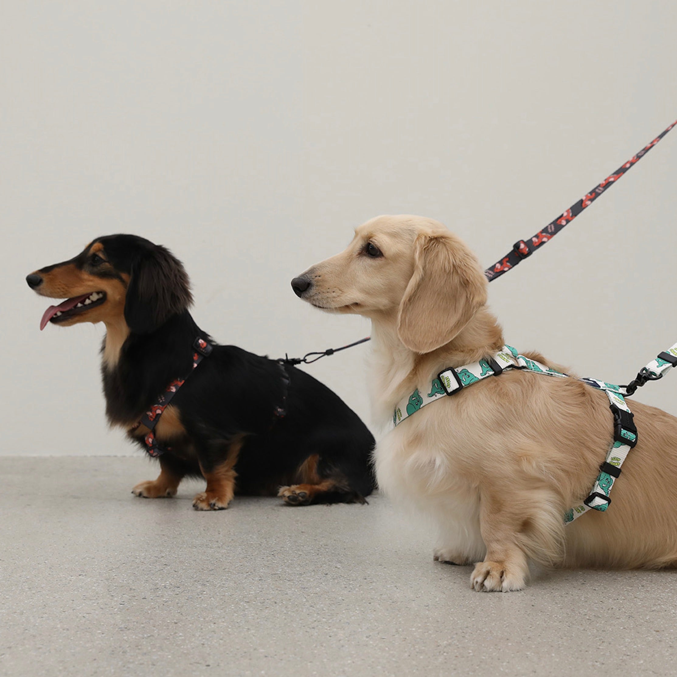 海外犬服 高品質なインポートのドッグウェア通販 