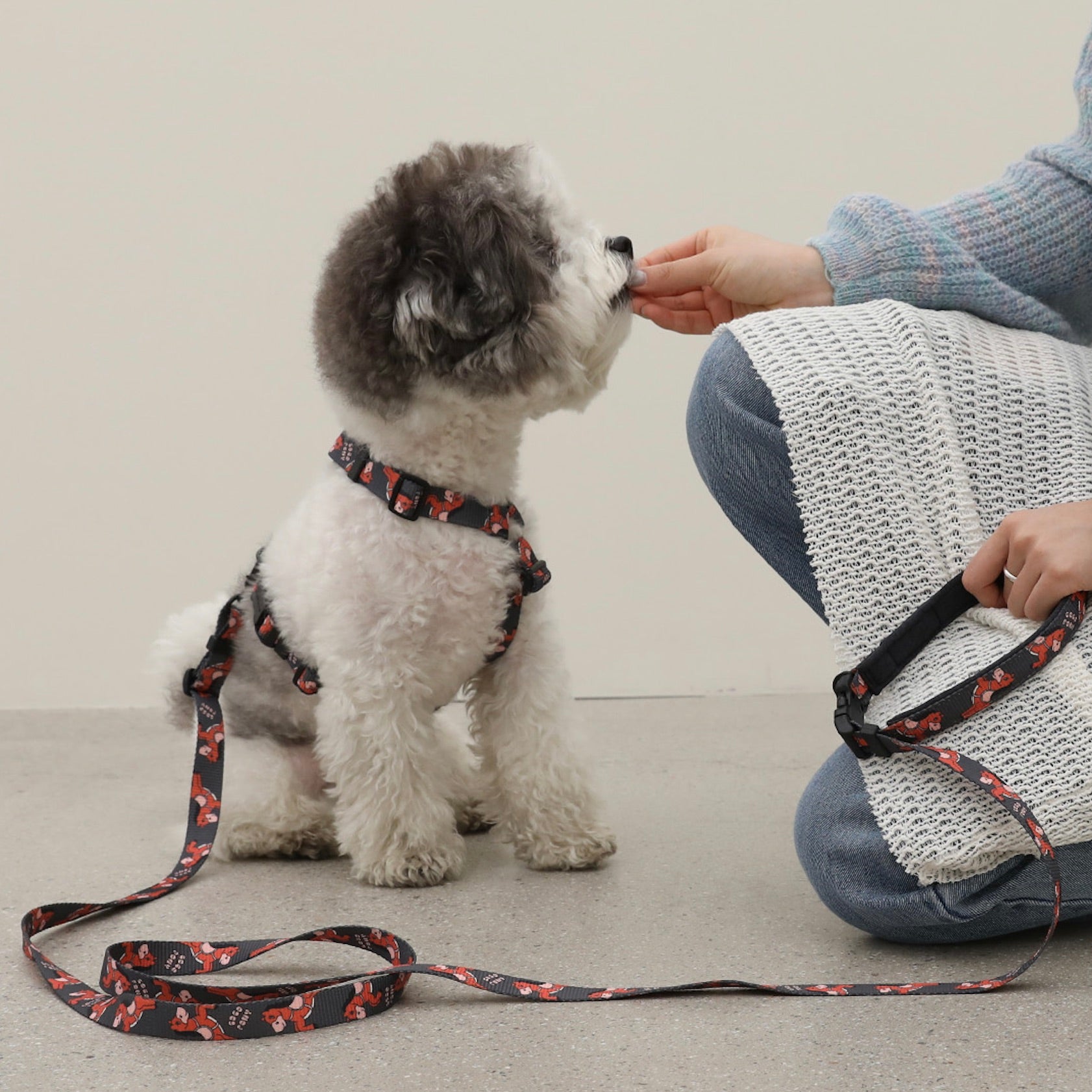 海外犬服 高品質なインポートのドッグウェア通販 