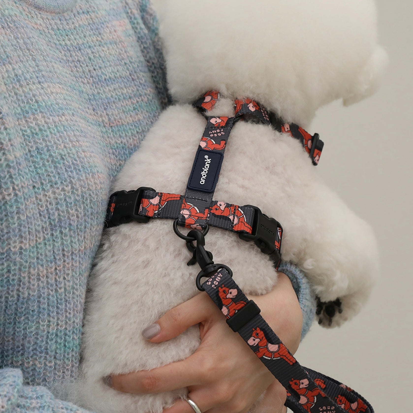 海外犬服 高品質なインポートのドッグウェア通販 