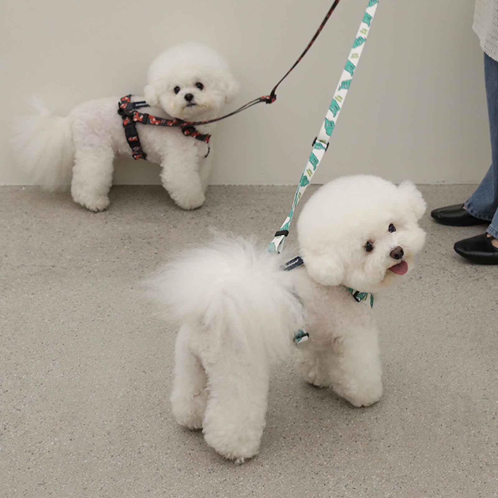 海外犬服 高品質なインポートのドッグウェア通販 