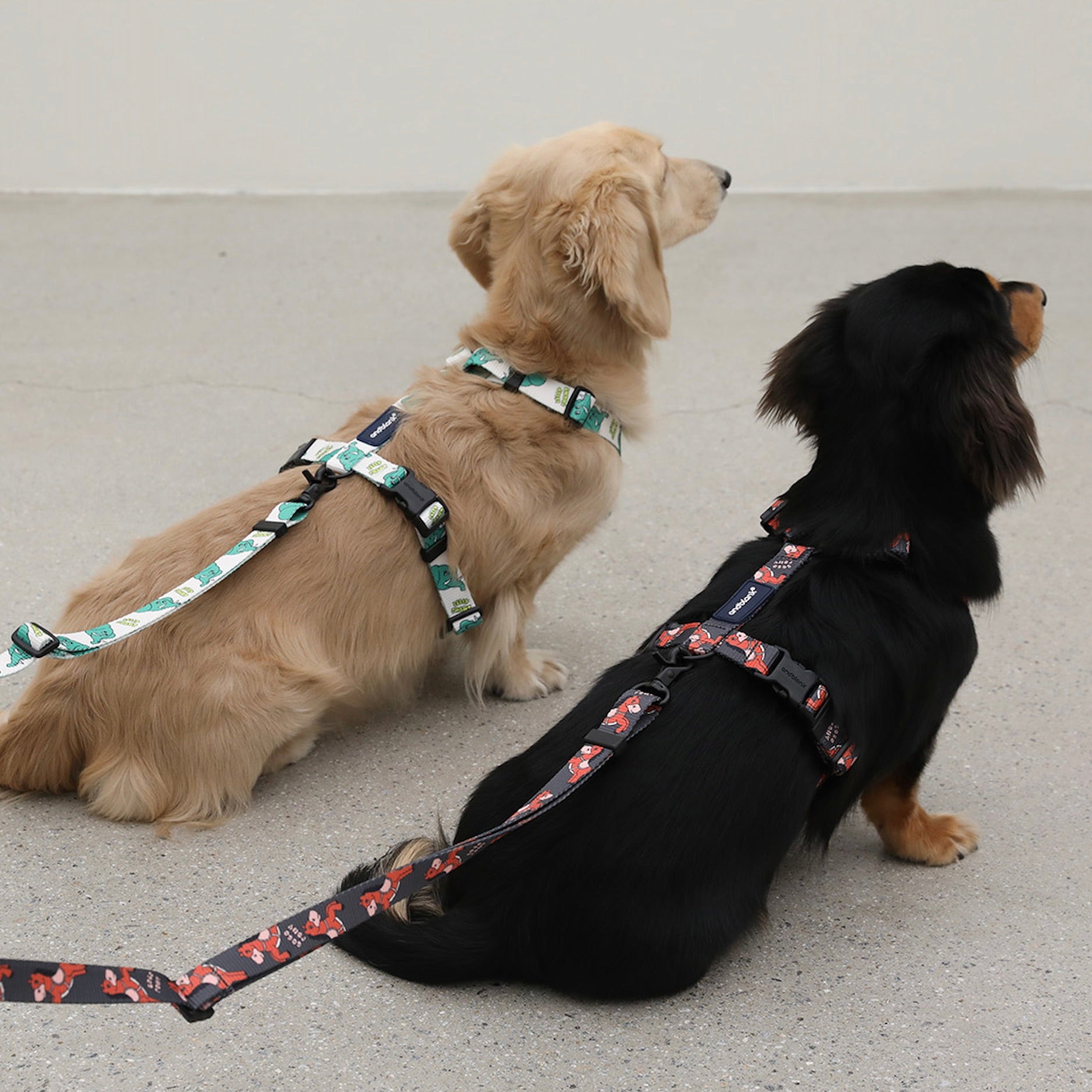 海外犬服 高品質なインポートのドッグウェア通販 