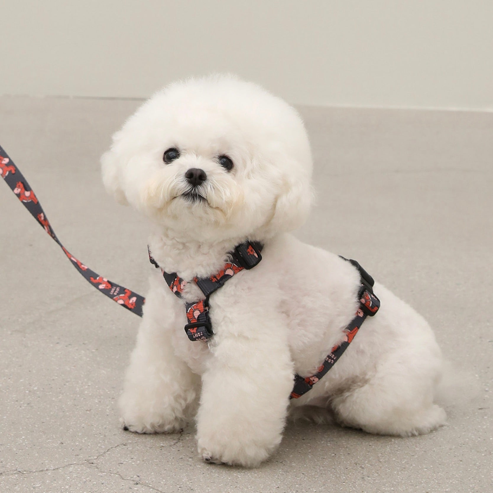 犬服・アクセサリー ateliergg 海外犬服 高品質なインポートのドッグウェア通販 