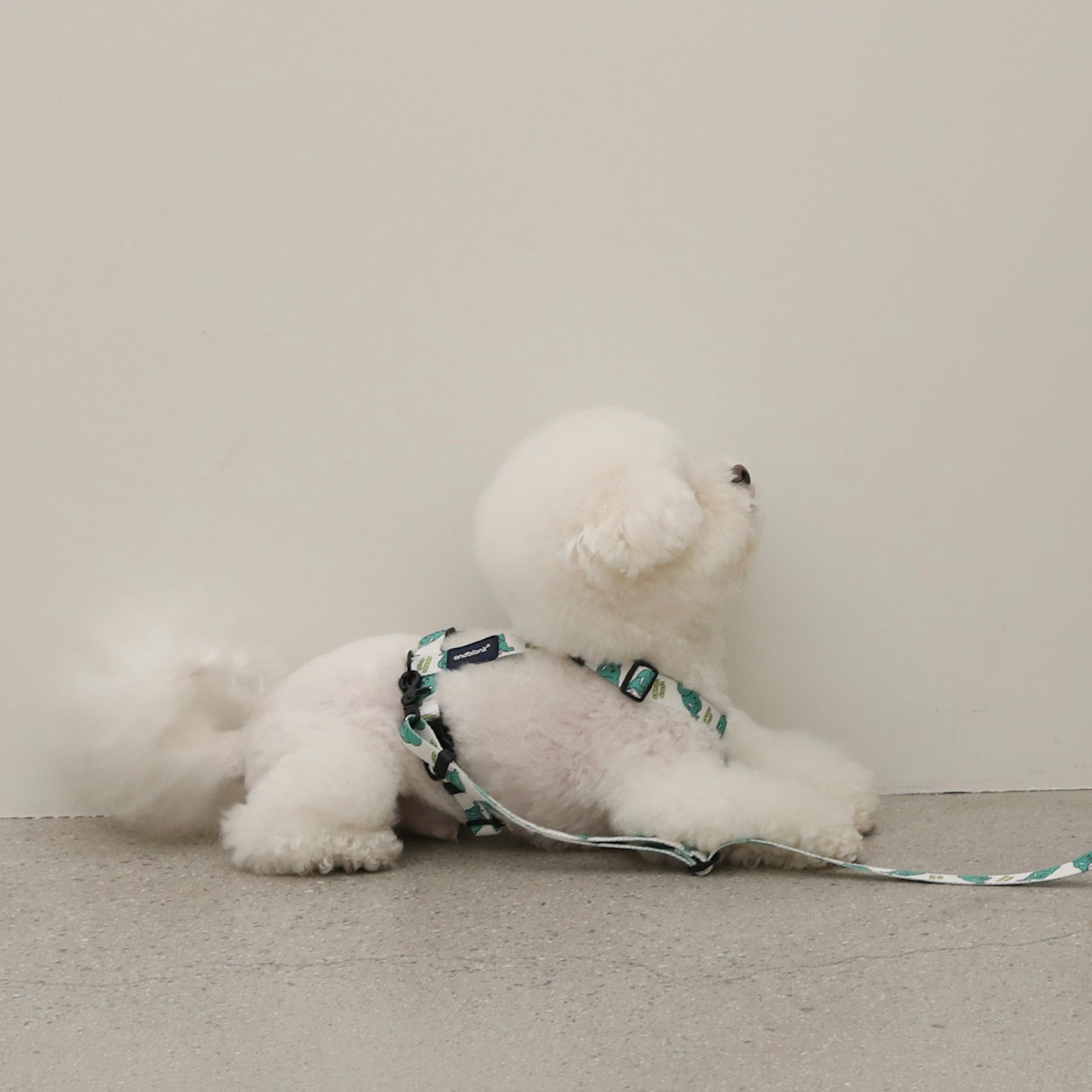 海外犬服 高品質なインポートのドッグウェア通販 