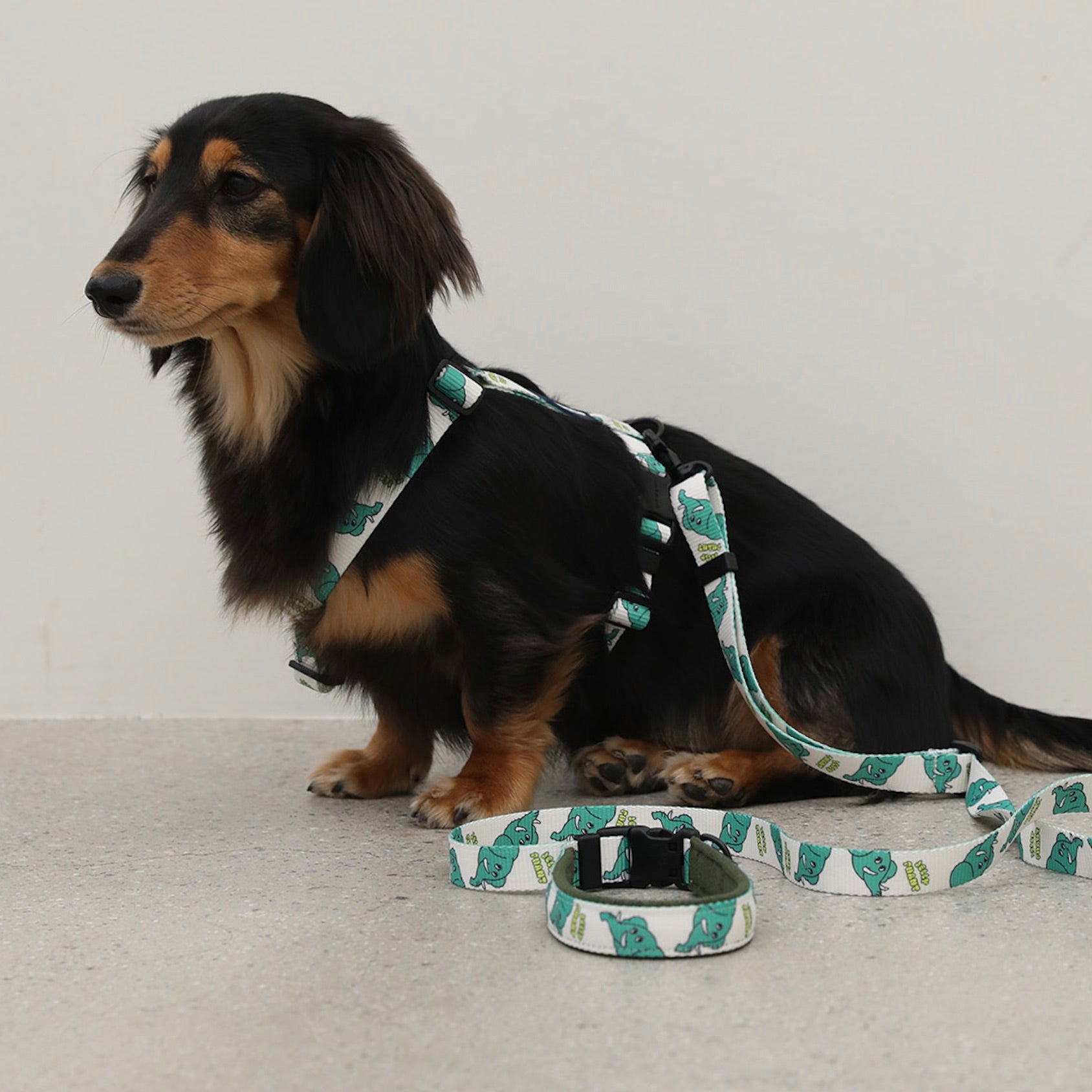 海外犬服 高品質なインポートのドッグウェア通販 
