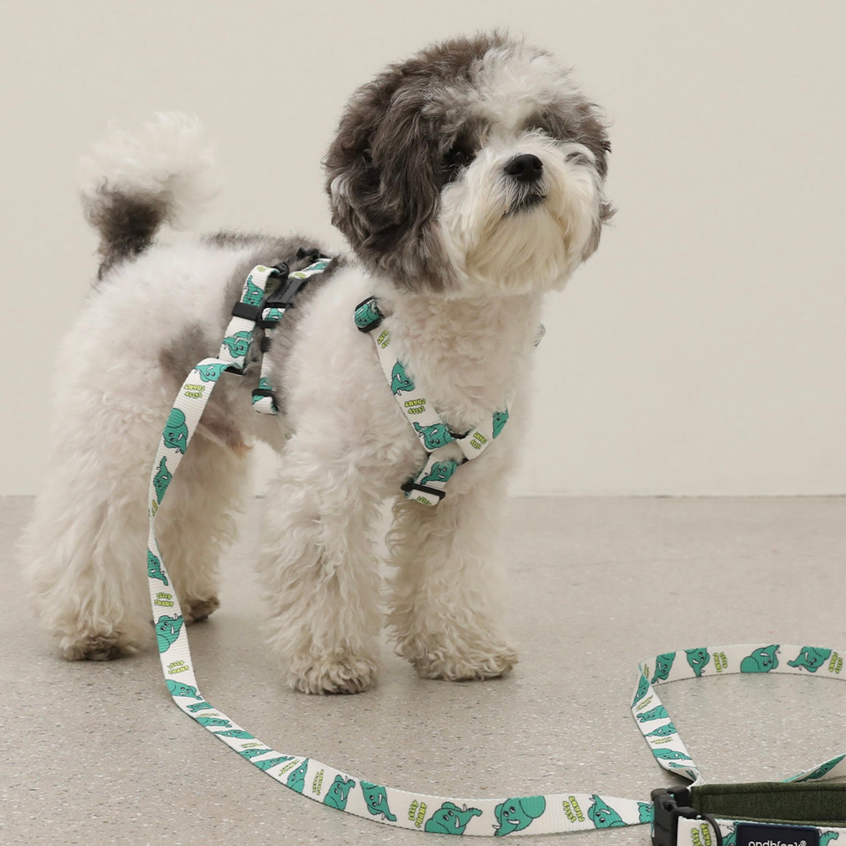 海外犬服 高品質なインポートのドッグウェア通販 