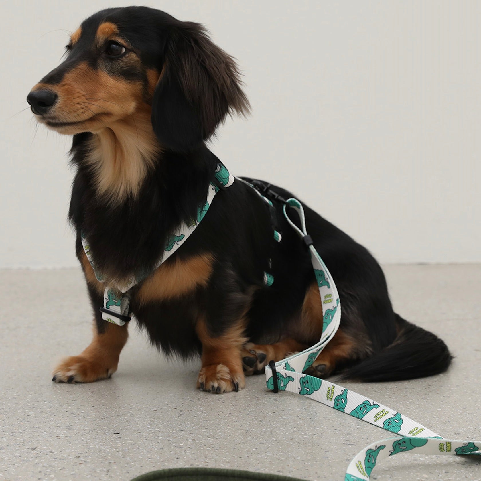 海外犬服 高品質なインポートのドッグウェア通販 