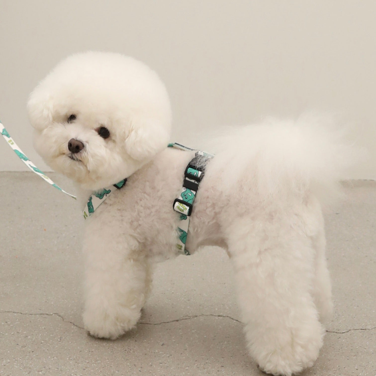 海外犬服 高品質なインポートのドッグウェア通販 
