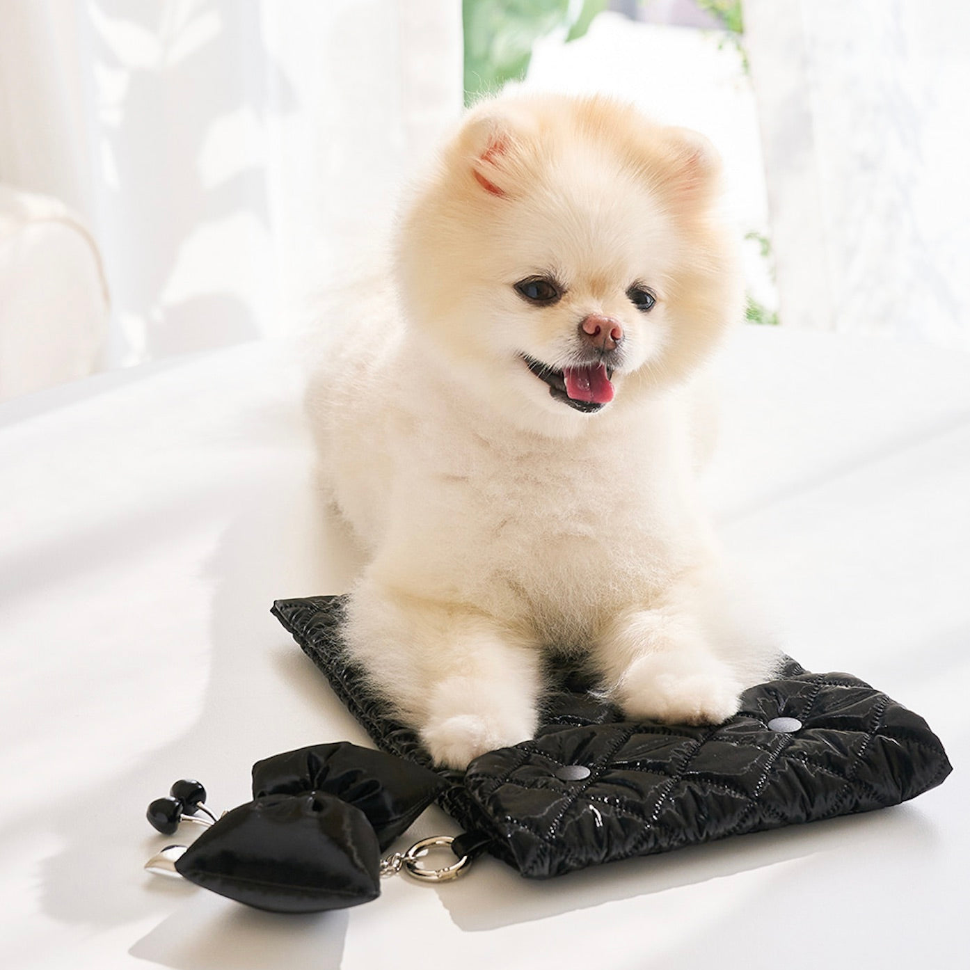 URBAN DOG TOKYO冷感ボディピロー クッション 保冷/保温グッズ – URBAN DOG TOKYO