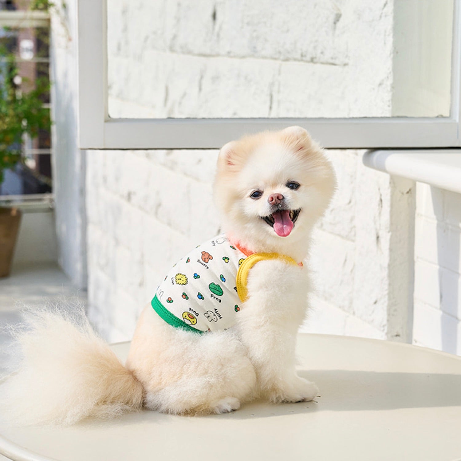 海外犬服 高品質なインポートのドッグウェア通販 