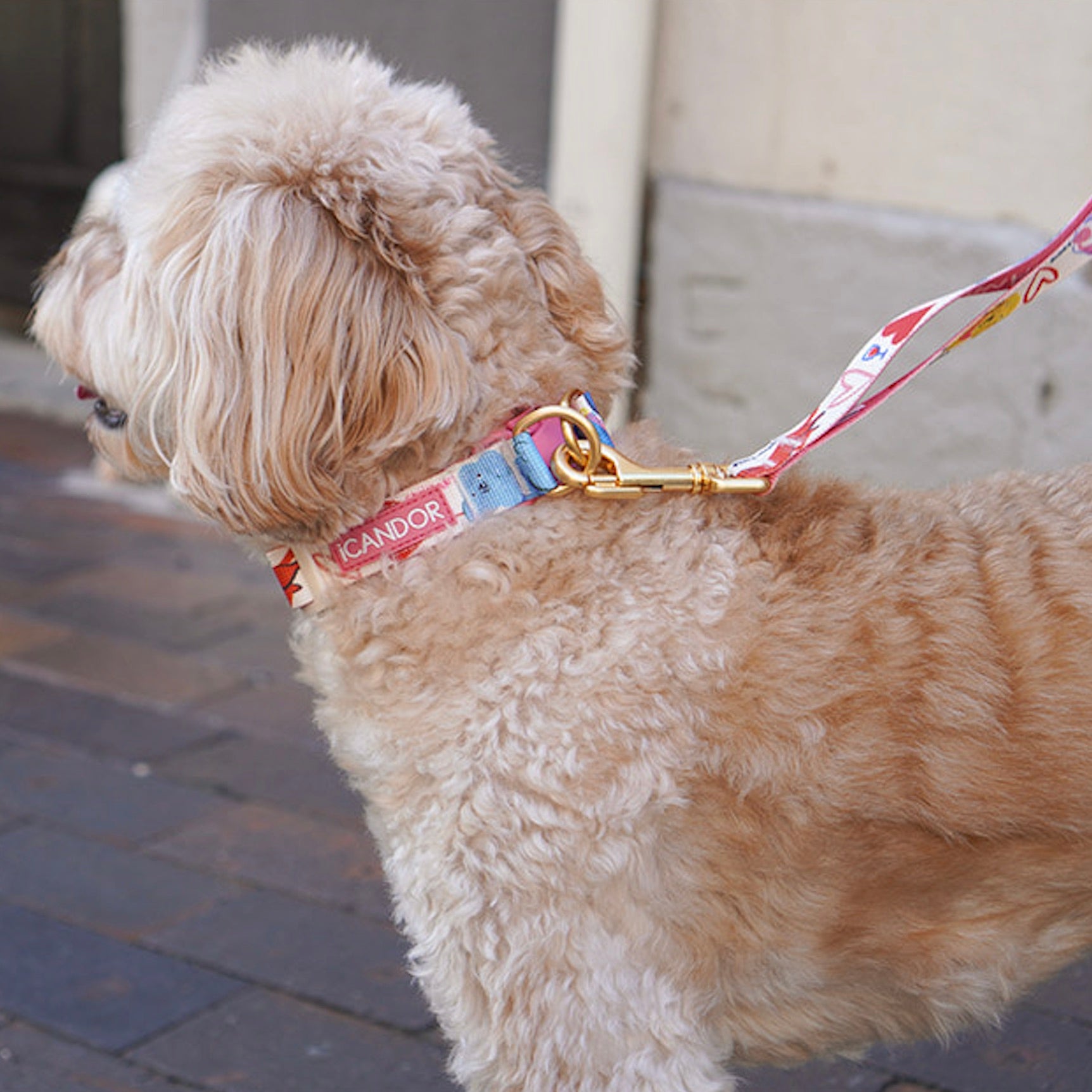 大型犬対応 – URBAN DOG TOKYO