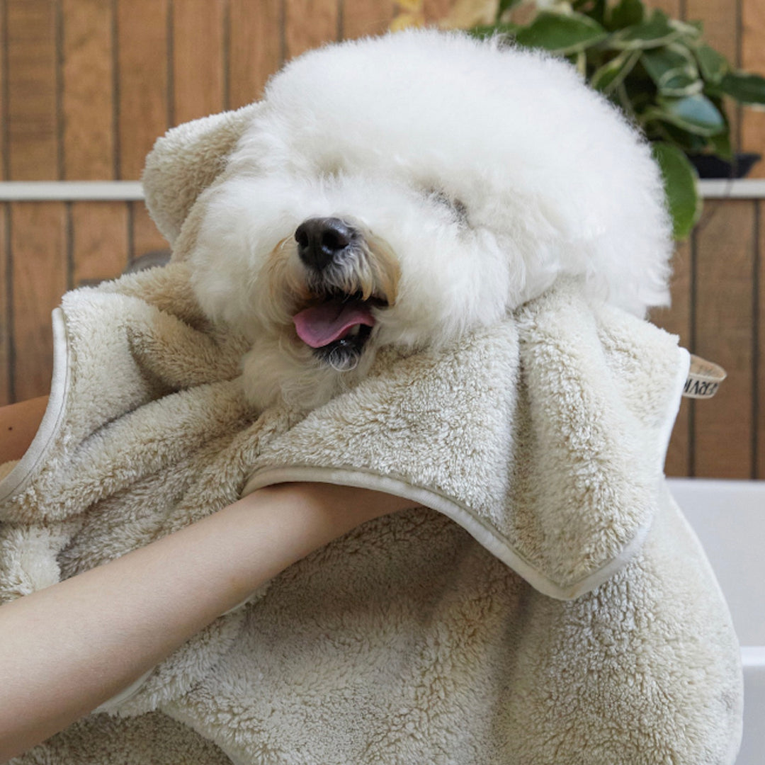※予約販売【andblank】Quick dry pet towel