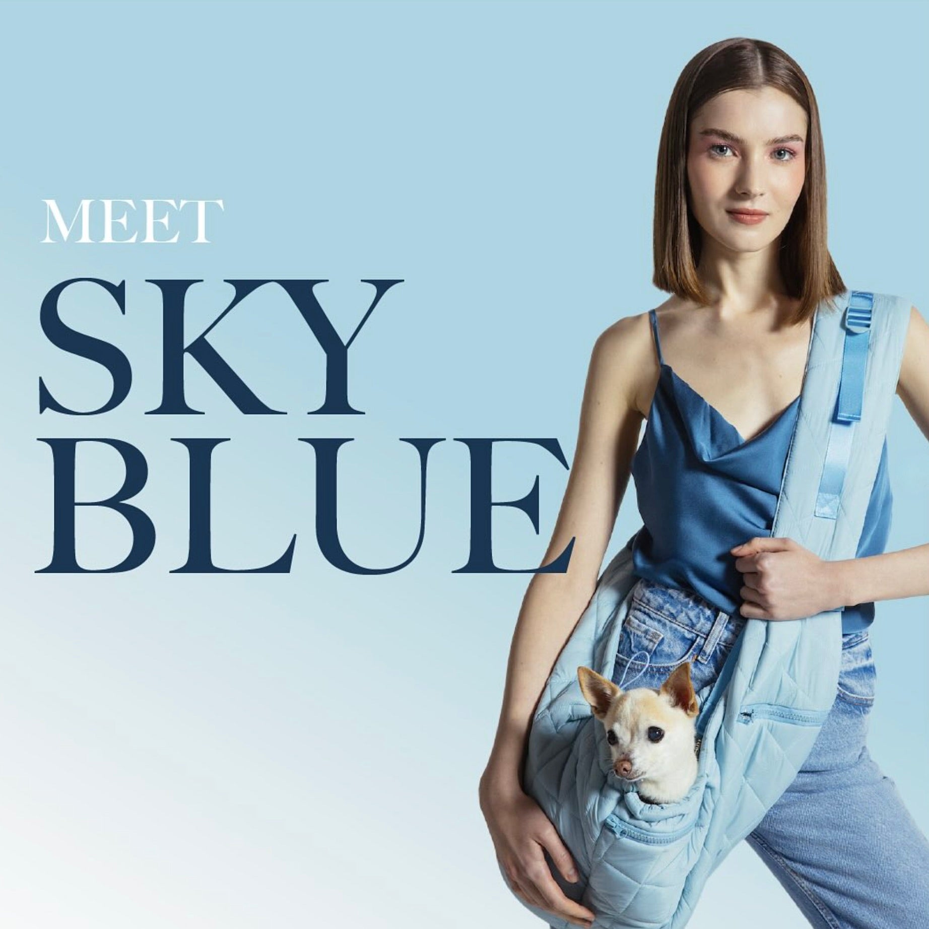 海外犬服 高品質なインポートのドッグウェア通販 