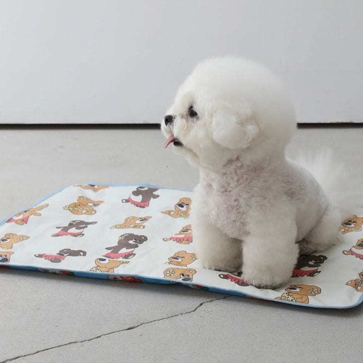 即納【andblank】Hula joy bear Carrot Bunny reversible cool mat