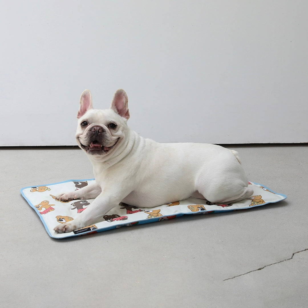 即納【andblank】Hula joy bear Carrot Bunny reversible cool mat