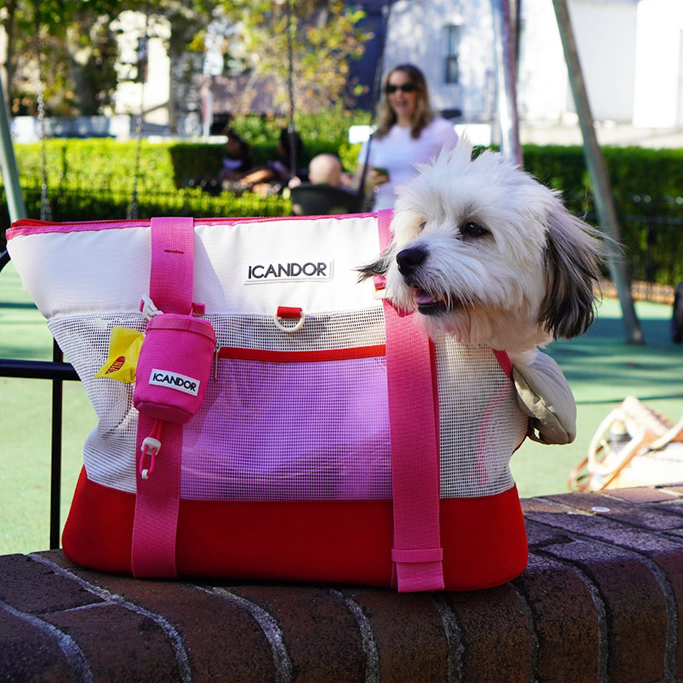 海外犬服 高品質なインポートのドッグウェア通販 
