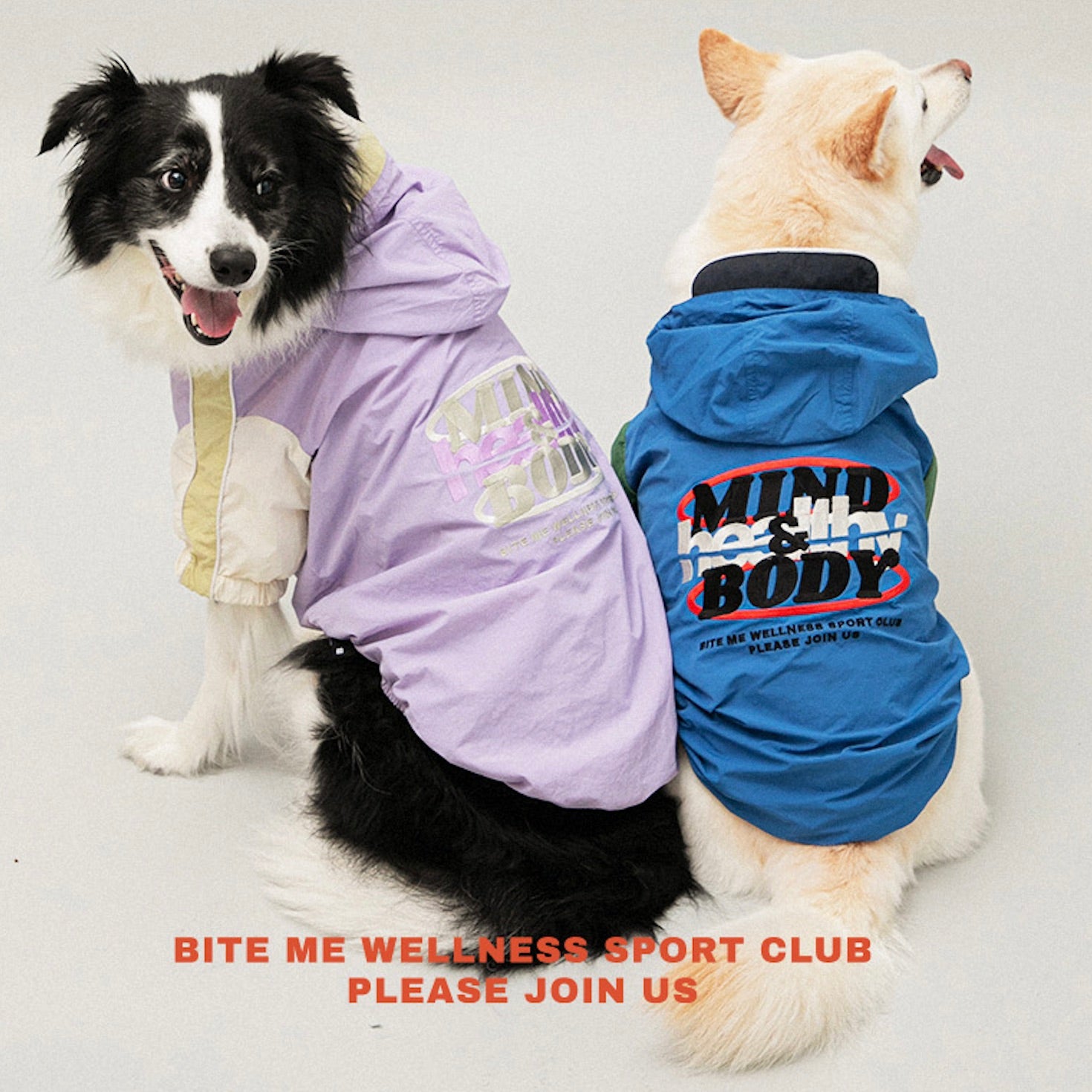 海外犬服 高品質なインポートのドッグウェア通販 