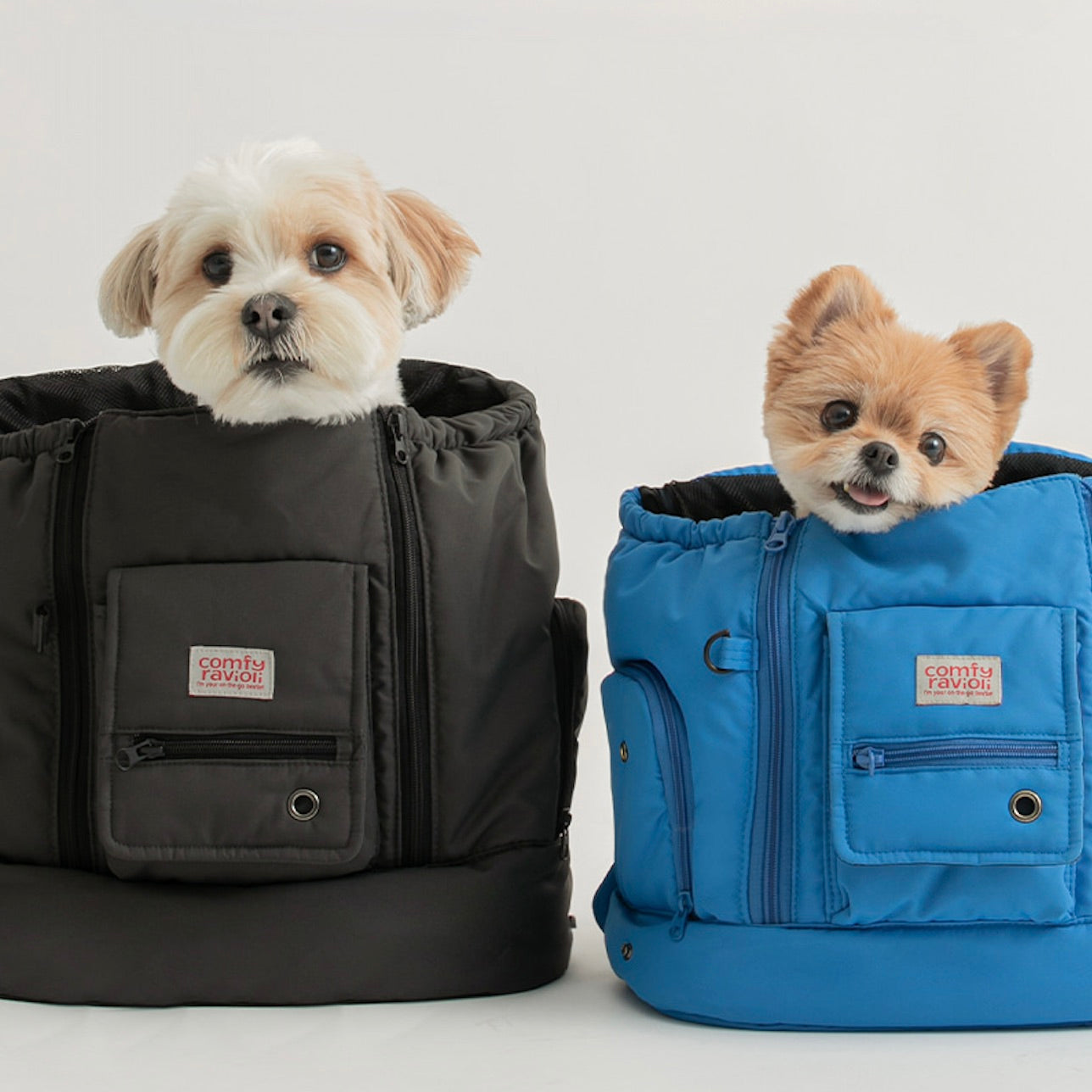 海外犬服 高品質なインポートのドッグウェア通販 