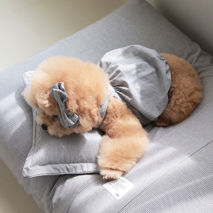 ※予約販売【Chiot】Sheot Comfort Carming Bed（Charcoal）