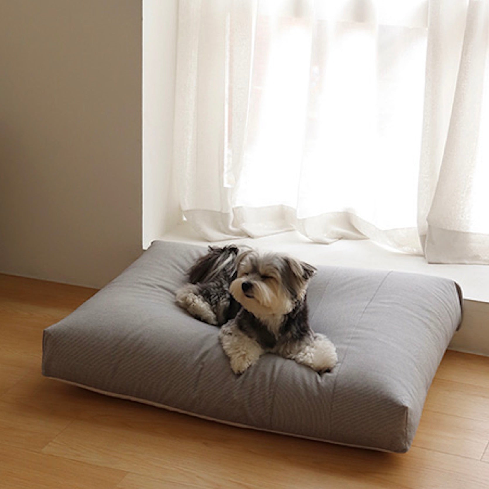 海外犬服 高品質なインポートのドッグウェア通販【Chiot】Sheot