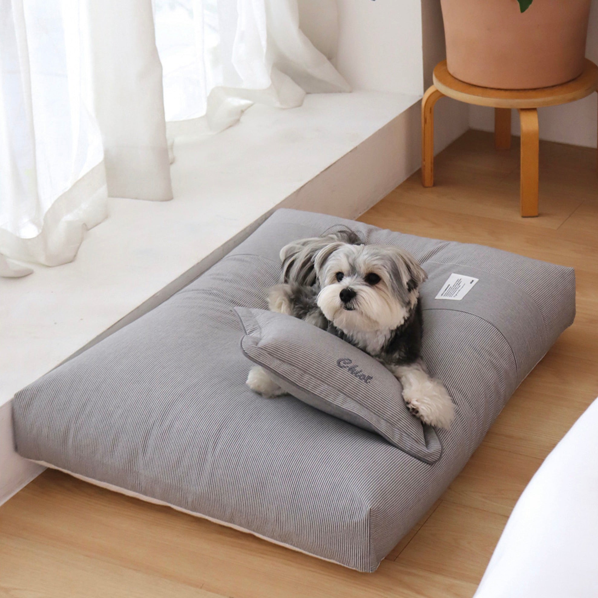 BED – URBAN DOG TOKYO