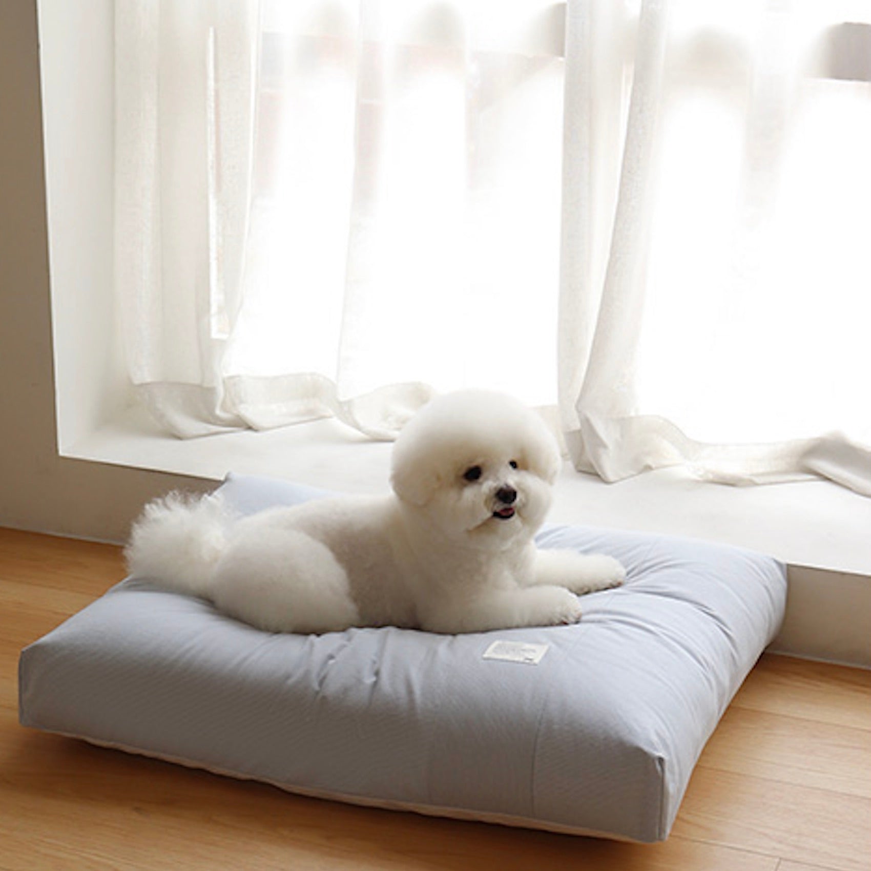 BED – URBAN DOG TOKYO