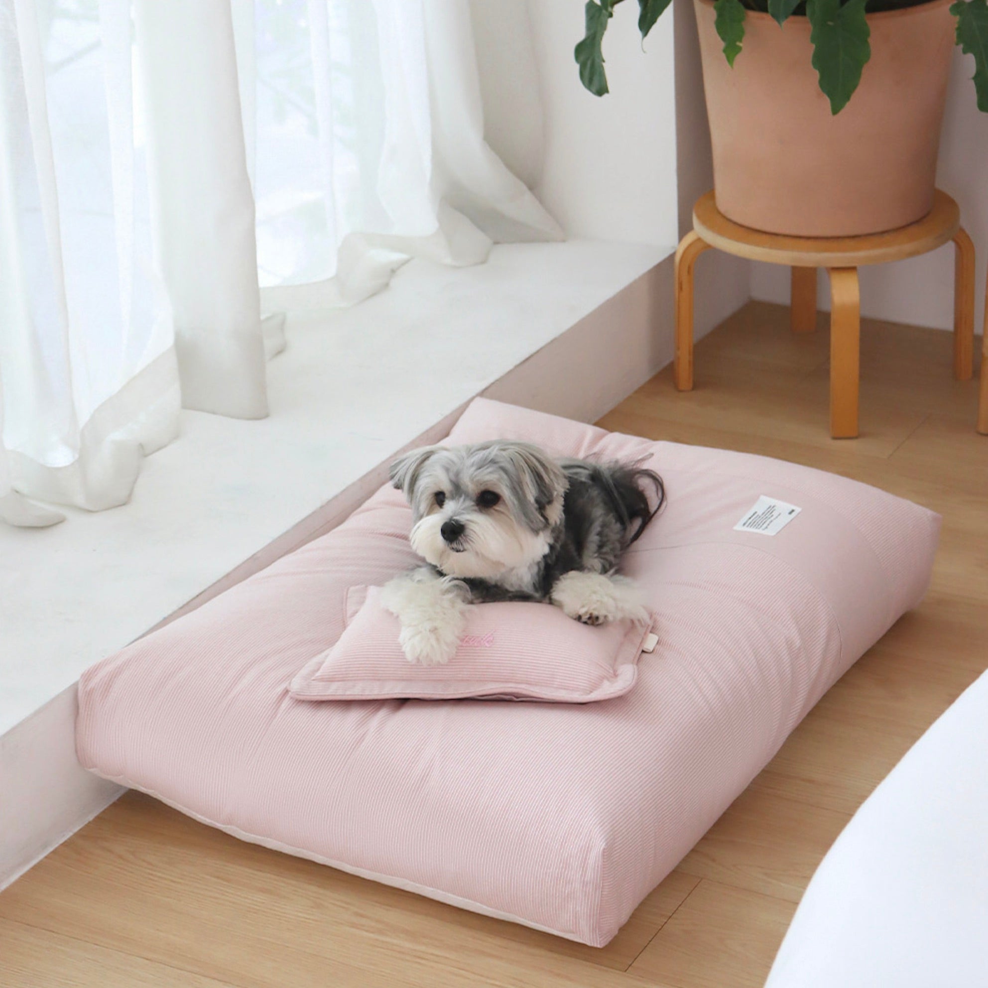 海外犬服 高品質なインポートのドッグウェア通販【Chiot】Sheot