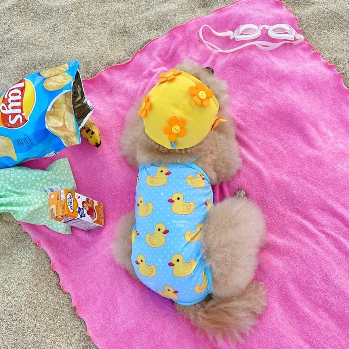 即納【FREDDIE TALE】Swimming Duck Monokini