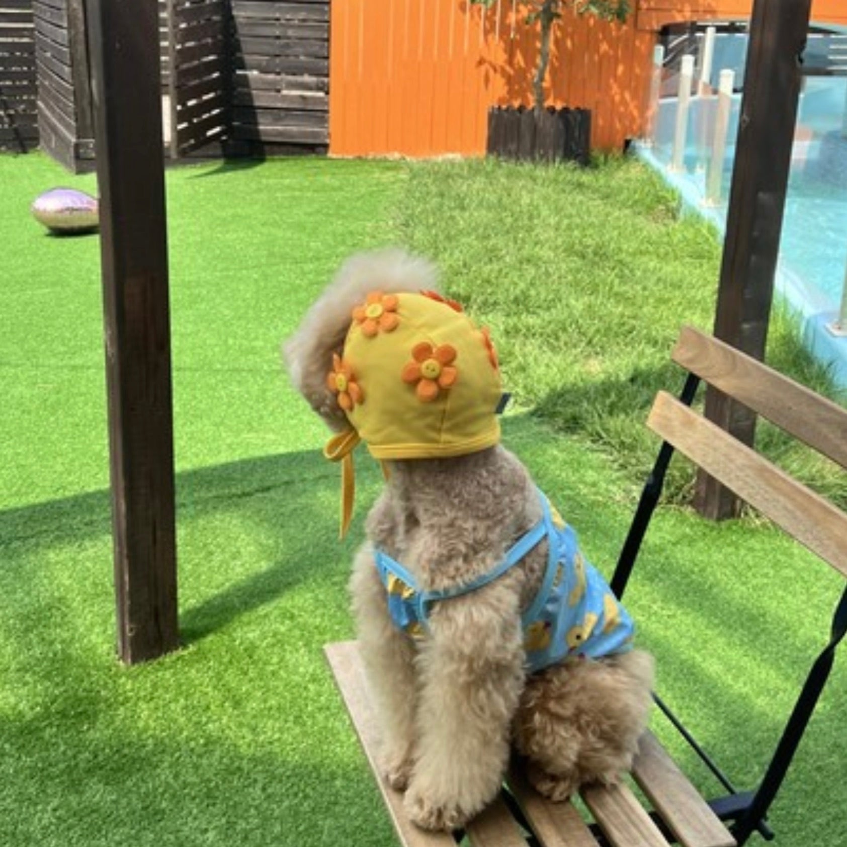 海外犬服 高品質なインポートのドッグウェア通販 