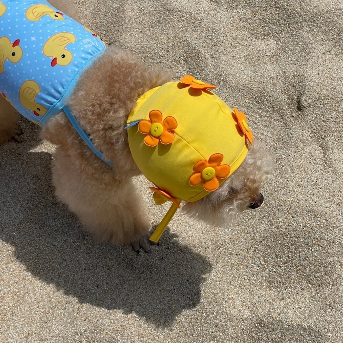 海外犬服 高品質なインポートのドッグウェア通販 