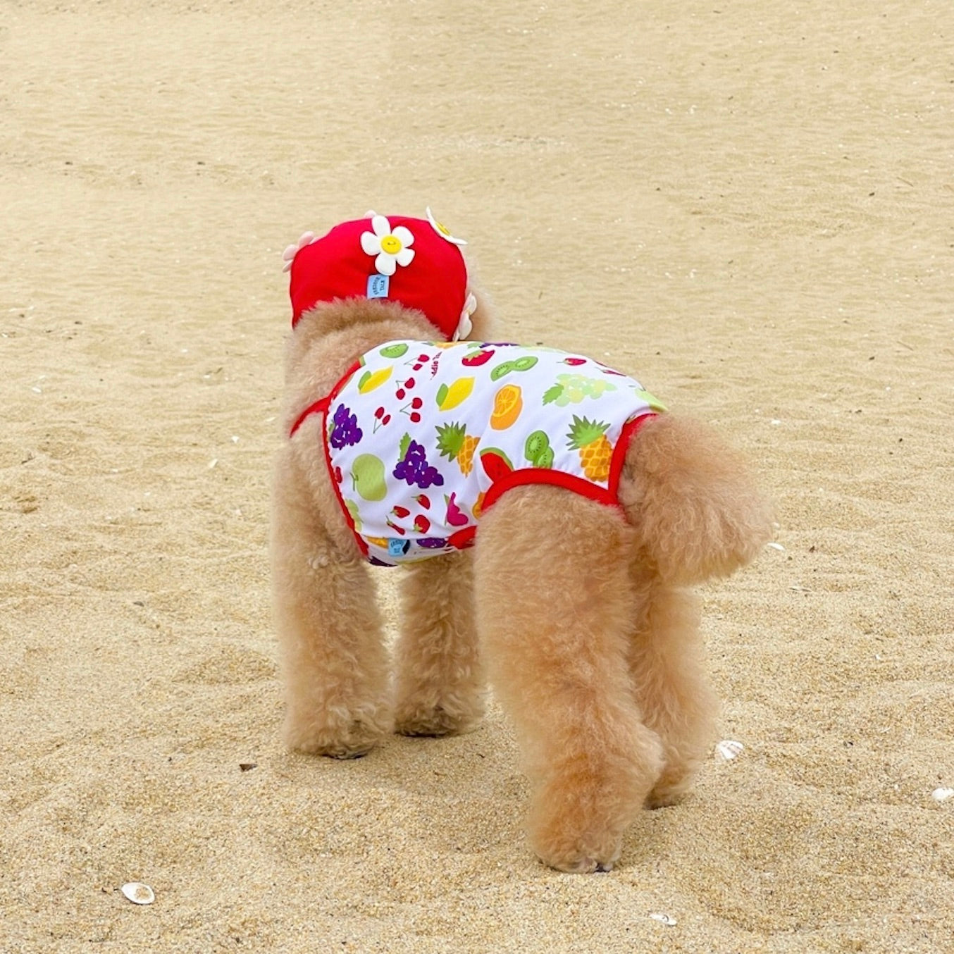 海外犬服 高品質なインポートのドッグウェア通販 