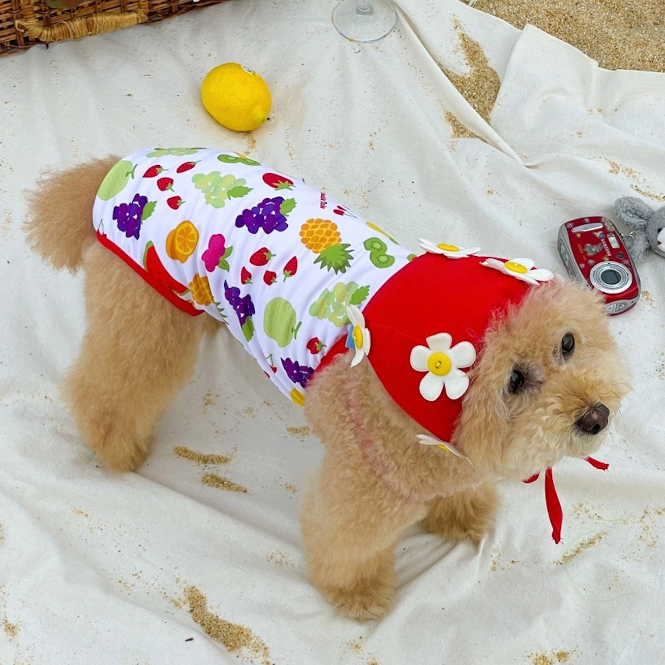 Fluffytail フラッフィテイル　犬服　わんちゃんお洋服 海外犬服 高品質なインポートのドッグウェア通販 