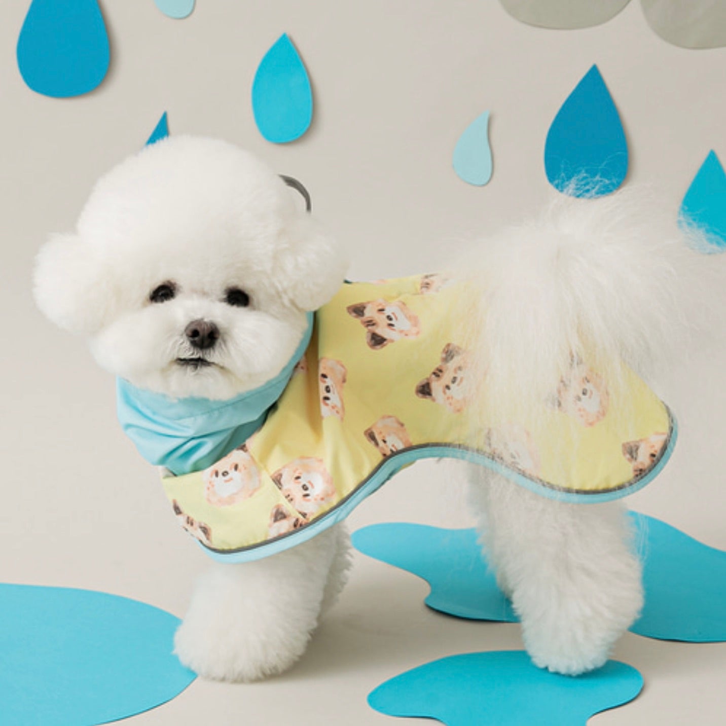 海外犬服 高品質なインポートのドッグウェア通販 